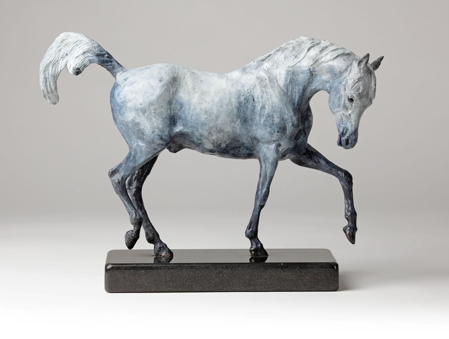 Bronze Horse 'Arab Satllion' by Belinda Sillars