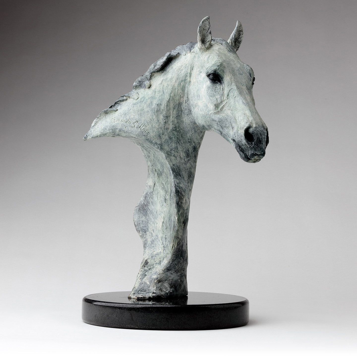 Bronze Horse Head Sculpture By Belinda Sillars 'Clover'