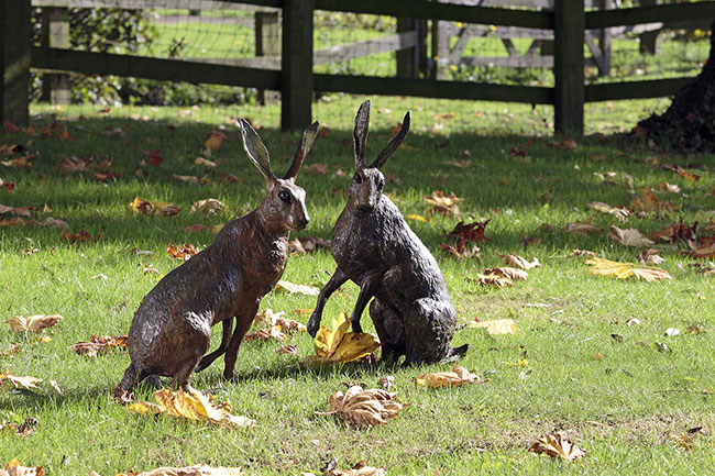 Bronze Hares