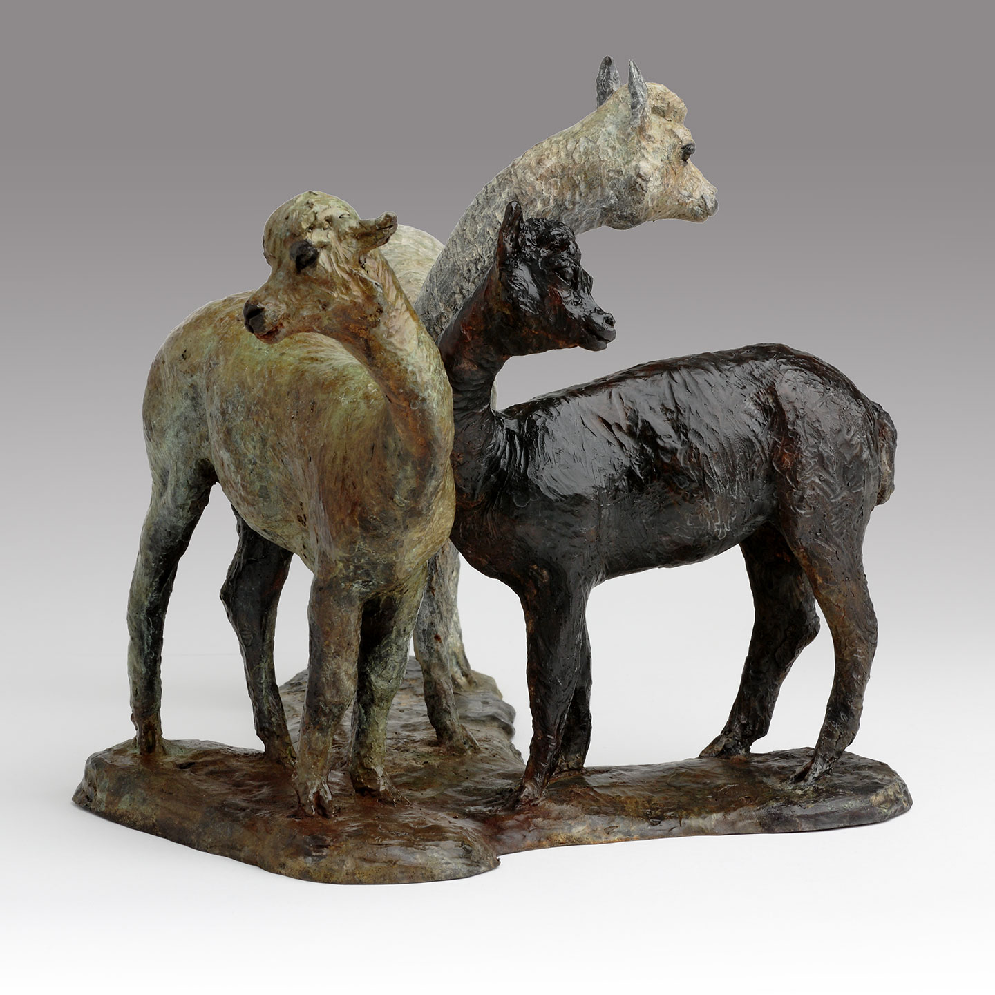 Bronze Alpacas Sculpture Limited Edition