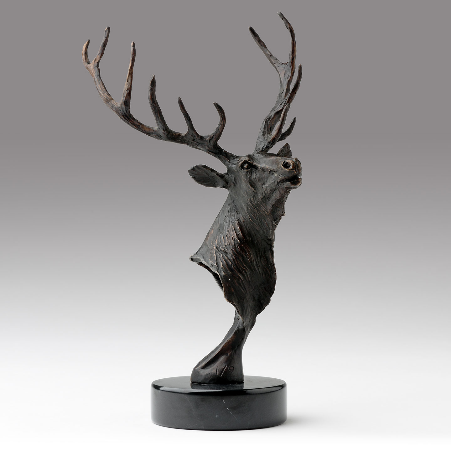 Bronze Elk Head Sculpture by Belinda Sillars