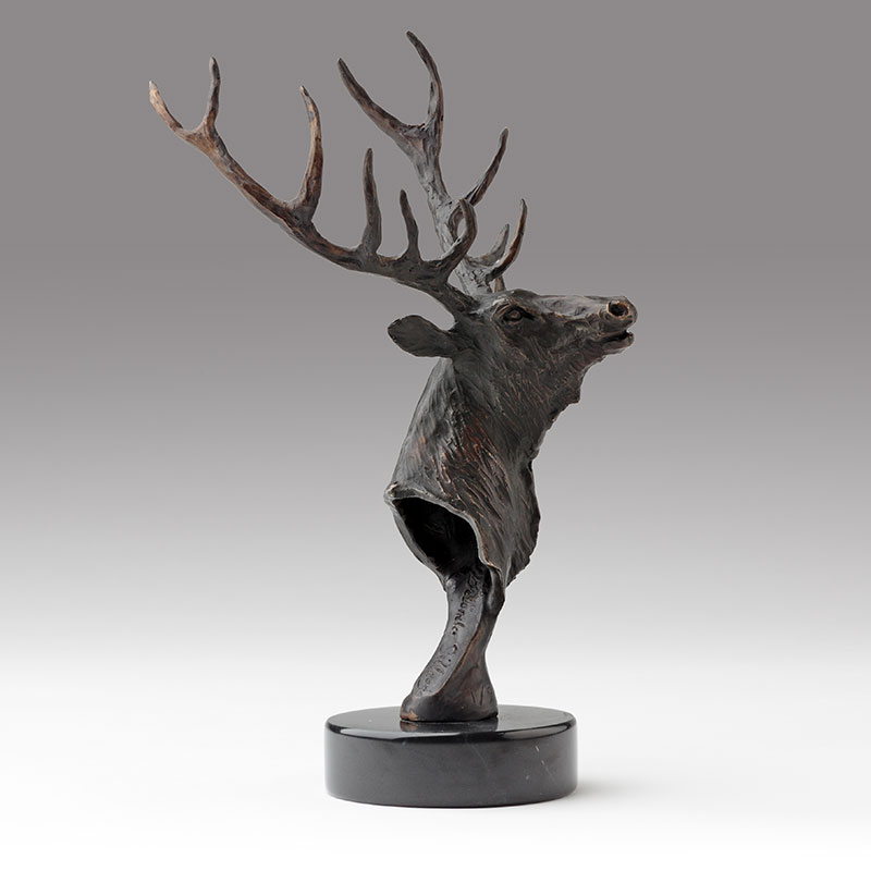 Bronze Elk Head Sculpture by Belinda Sillars