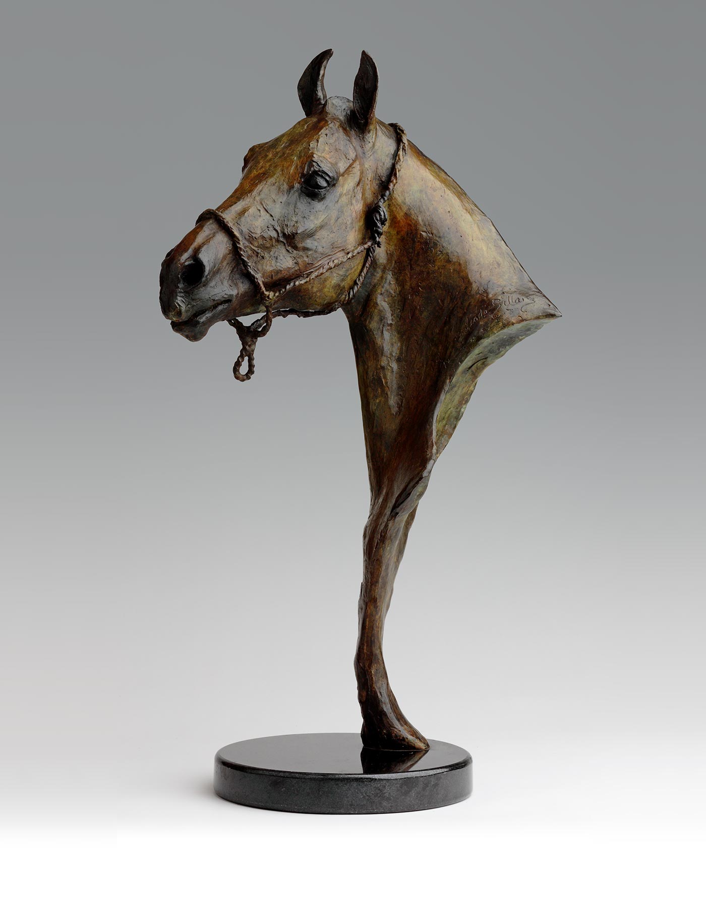 Bronze Polo pony Sculpture by Belinda Sillars 'Betsy'