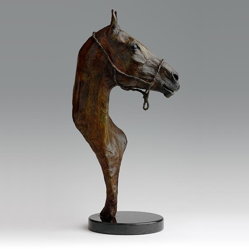 Bronze Polo pony Sculpture by Belinda Sillars 'Betsy'