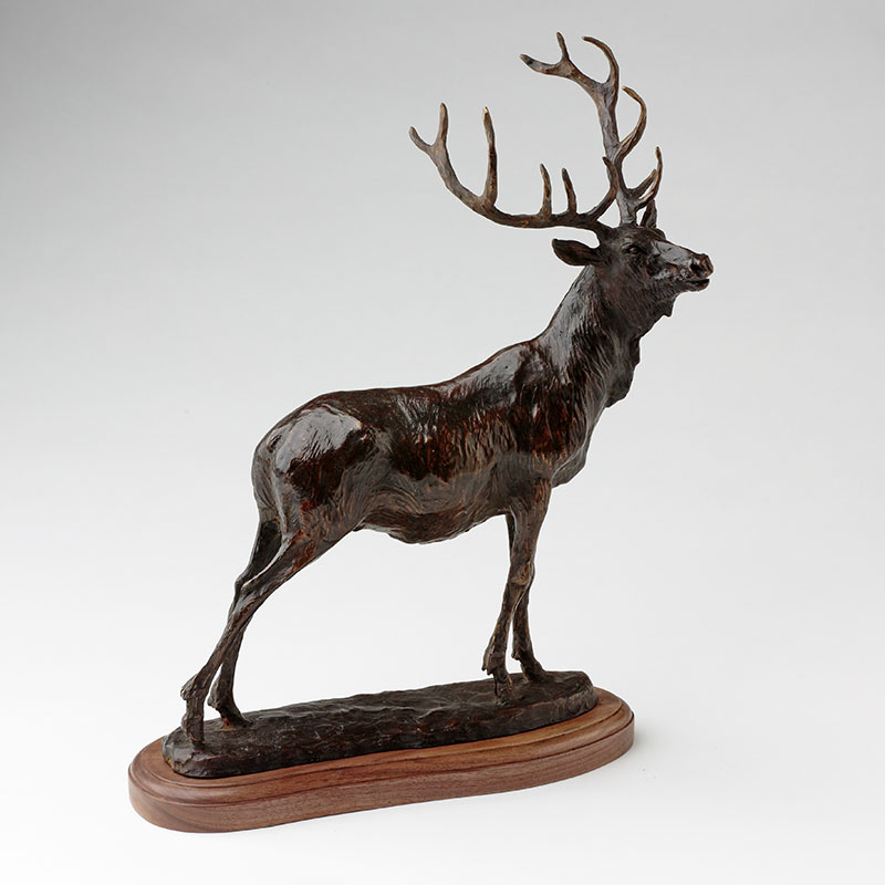 Bronze Elk Sculpture, Limited Edition