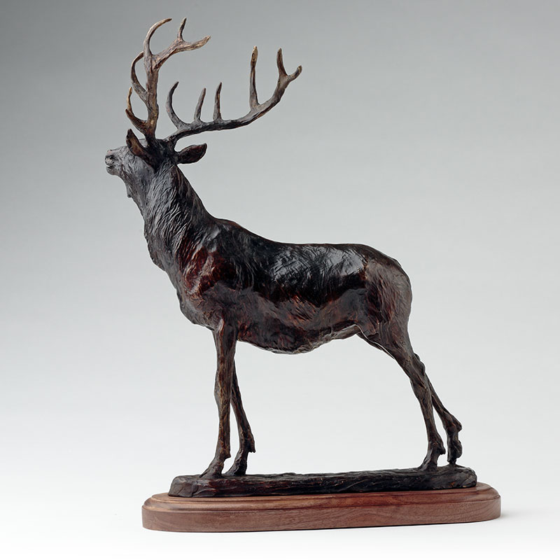 Bronze Elk Sculpture, Limited Edition