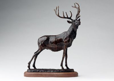 Elk