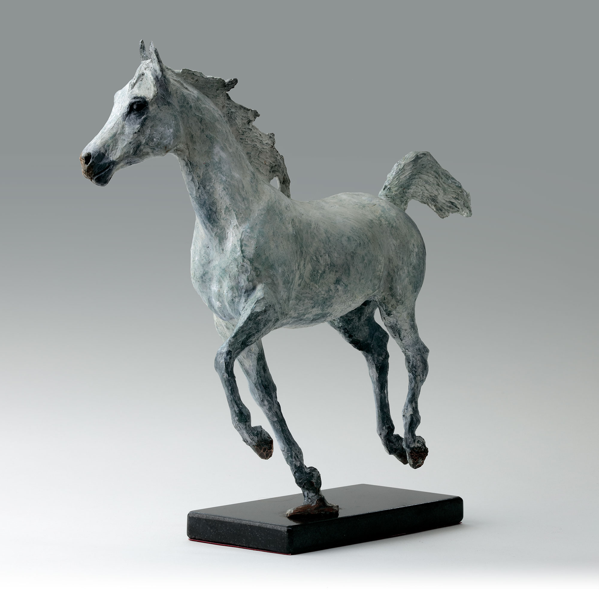 Bronze Horse Sculpture, 'Tazzie' by Belinda Sillars