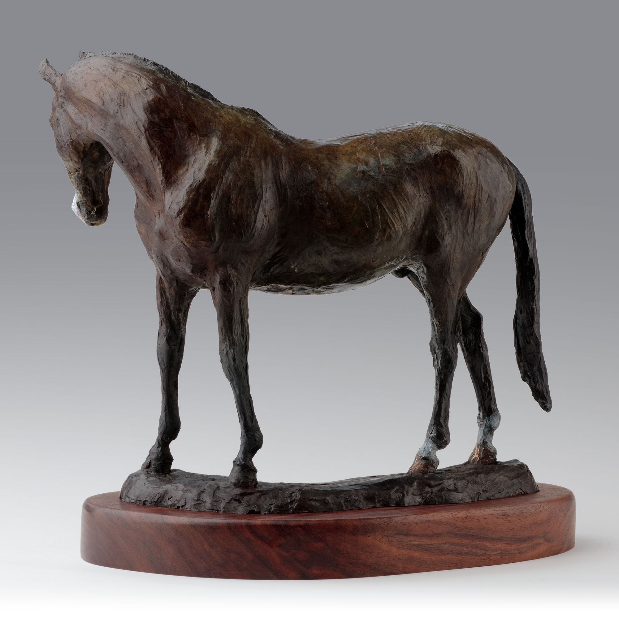 Equestrain bronze horse sculpture 'Pete'