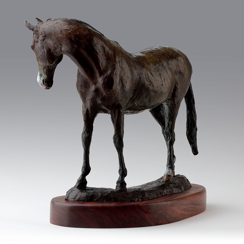 Equestrain bronze horse sculpture 'Pete'