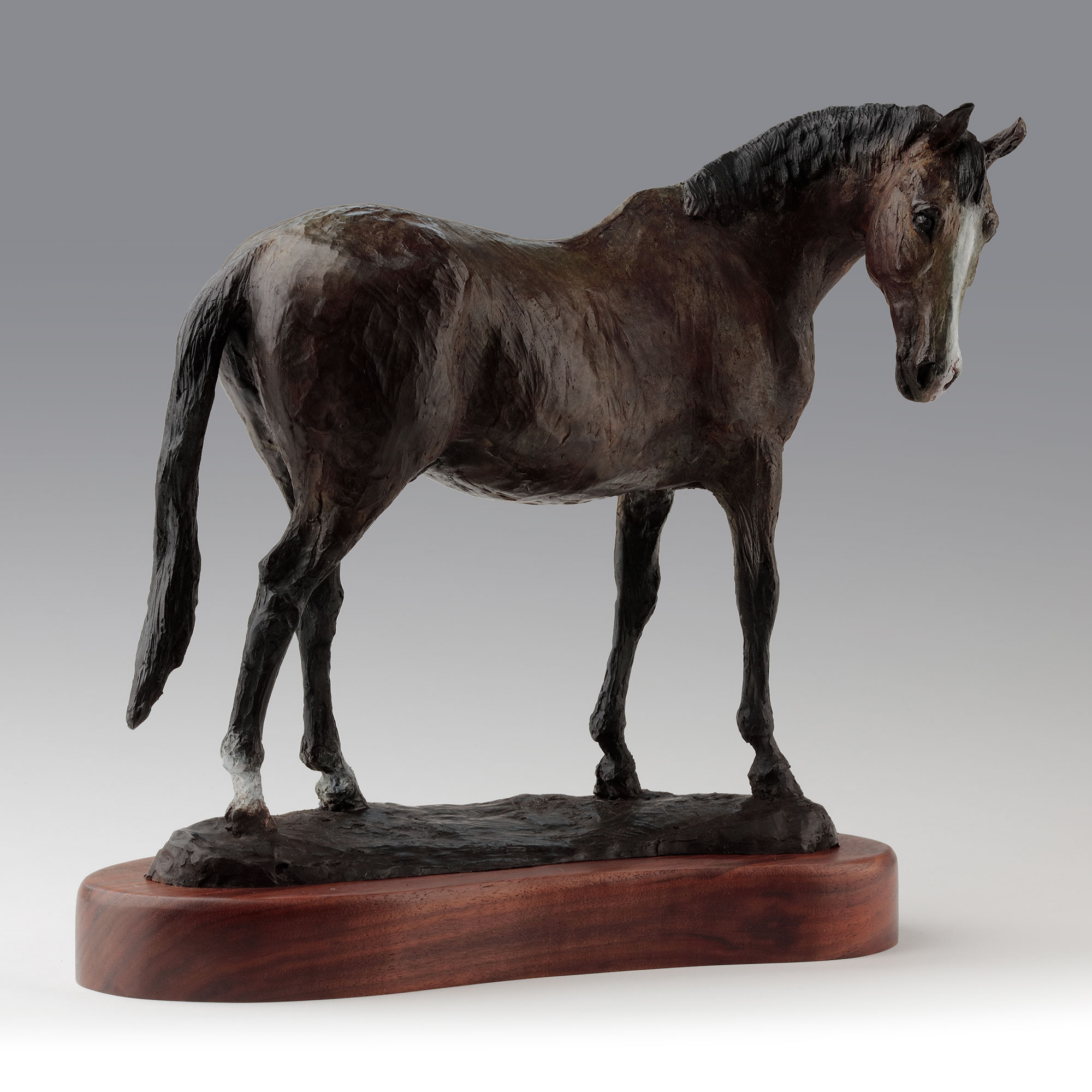 Equestrain bronze horse sculpture 'Pete'