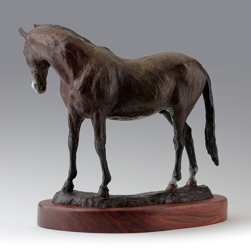 Equestrain bronze horse sculpture 'Pete'