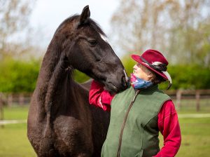 Belnda Sillars Bronze Horse Sculptor